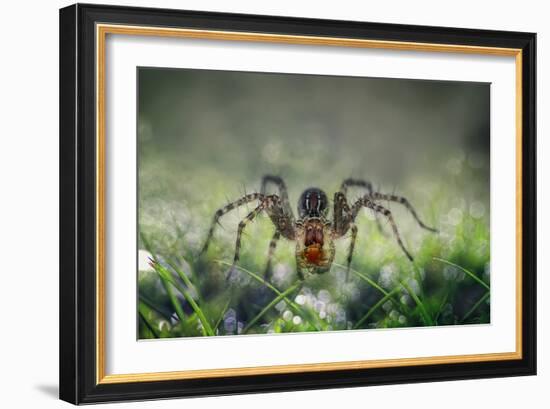 I Am Back to You-Erwin Astro-Framed Photographic Print