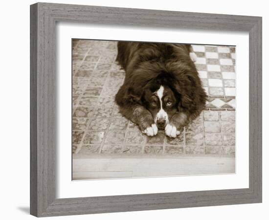 I Am Sorry-Jim Dratfield-Framed Photo