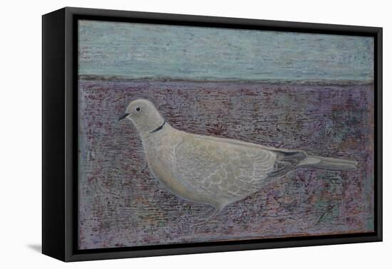 I am the Collared Dove-Ruth Addinall-Framed Premier Image Canvas