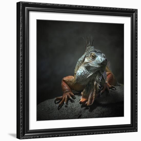 I Am The King...Who Else!-Holger Droste-Framed Giclee Print