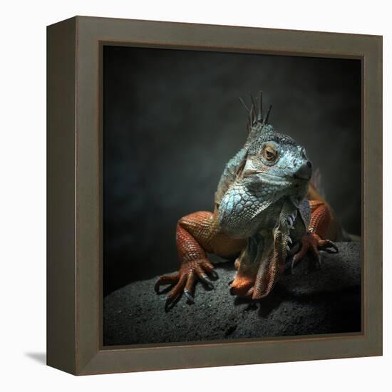 I Am the King. Who Else!?-Holger Droste-Framed Premier Image Canvas