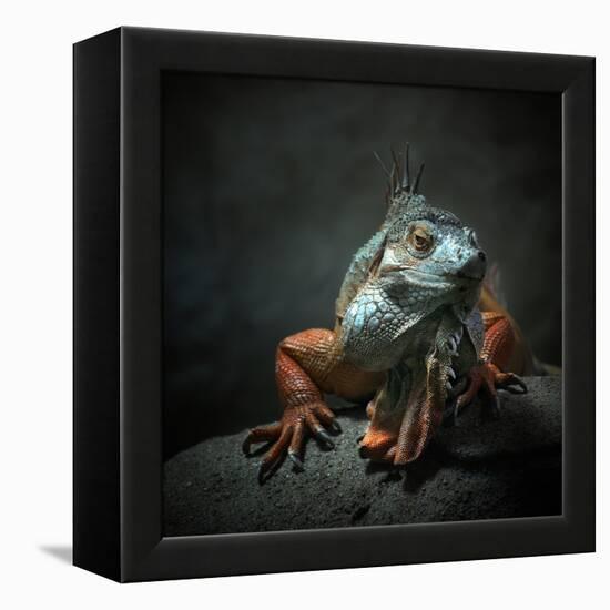 I Am the King. Who Else!?-Holger Droste-Framed Premier Image Canvas