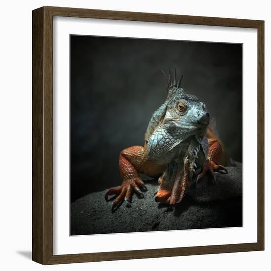 I Am the King. Who Else!?-Holger Droste-Framed Photographic Print