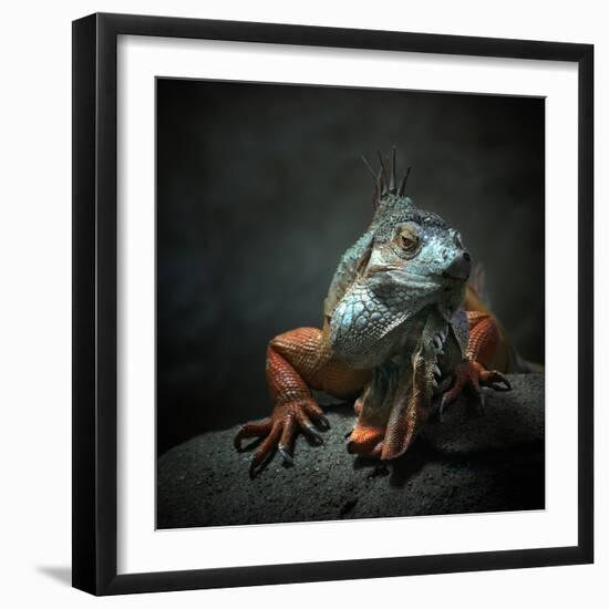 I Am the King. Who Else!?-Holger Droste-Framed Photographic Print