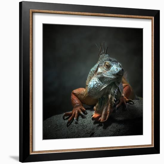 I Am the King. Who Else!?-Holger Droste-Framed Photographic Print