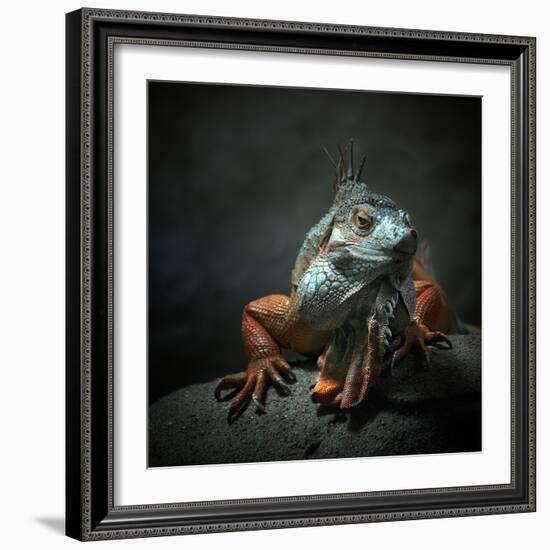 I Am the King. Who Else!?-Holger Droste-Framed Photographic Print