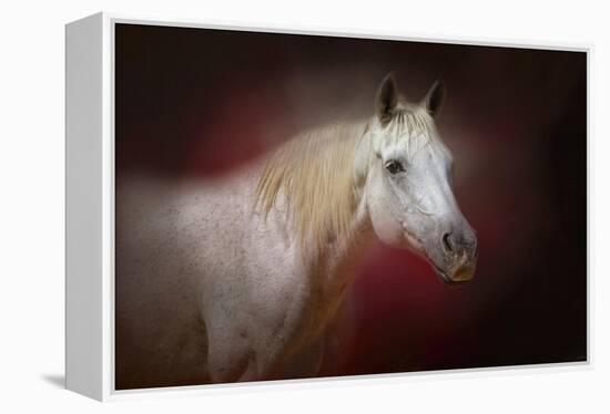 I Am the Light-Jai Johnson-Framed Premier Image Canvas