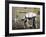 I am your father-Banksy-Framed Giclee Print