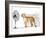 I Can Change My Spots-Alan Lambert-Framed Giclee Print