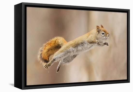 I Can Fly!-Mircea Costina-Framed Premier Image Canvas