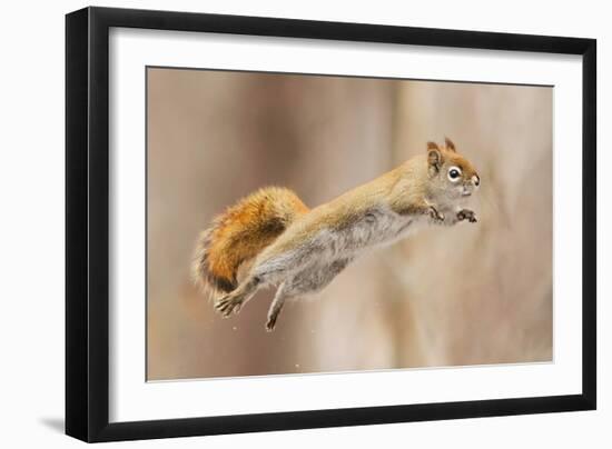 I Can Fly!-Mircea Costina-Framed Photographic Print