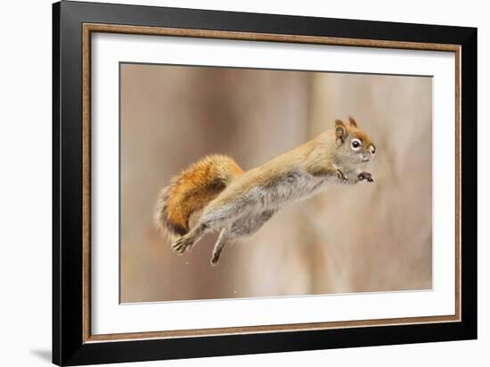 I Can Fly!-Mircea Costina-Framed Photographic Print