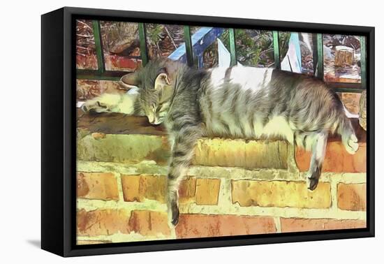 I Can Sleep Anywhere-Dorothy Berry-Lound-Framed Premier Image Canvas