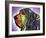 I Can Smell (Bloodhound)-Dean Russo-Framed Giclee Print