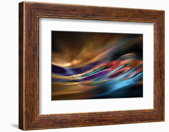 I Dream of Wild Places-Ursula Abresch-Framed Photographic Print