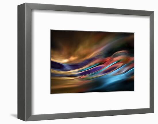 I Dream of Wild Places-Ursula Abresch-Framed Photographic Print