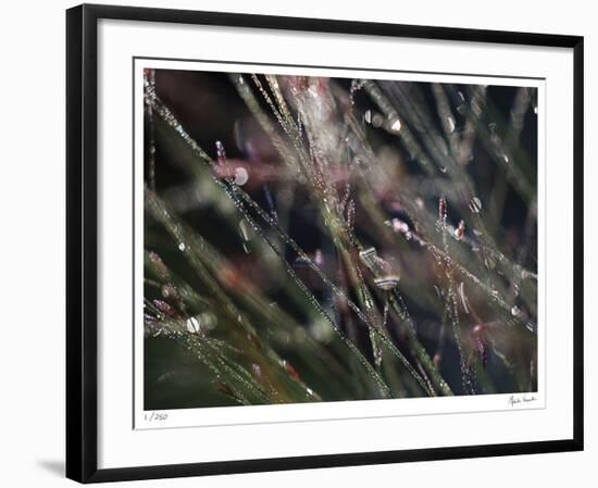 I Dream-Michelle Wermuth-Framed Giclee Print