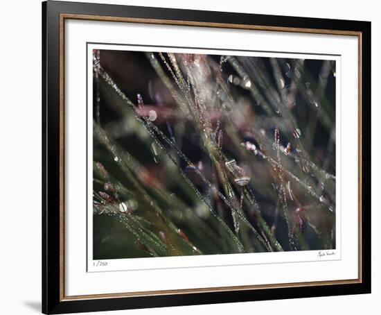 I Dream-Michelle Wermuth-Framed Giclee Print