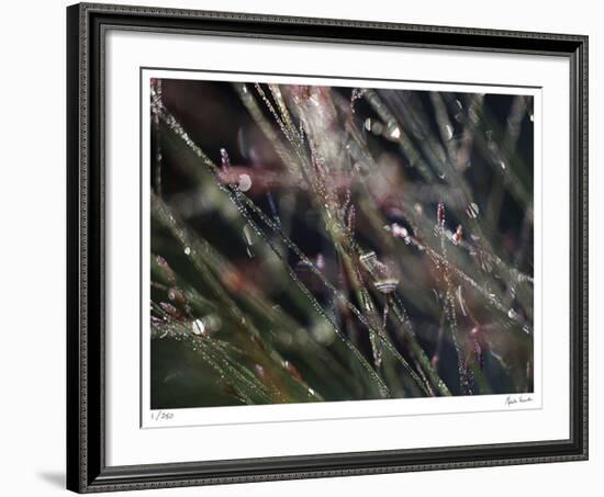 I Dream-Michelle Wermuth-Framed Giclee Print