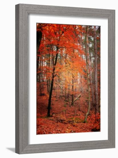 I Dream-Philippe Sainte-Laudy-Framed Photographic Print