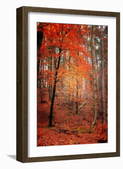 I Dream-Philippe Sainte-Laudy-Framed Photographic Print