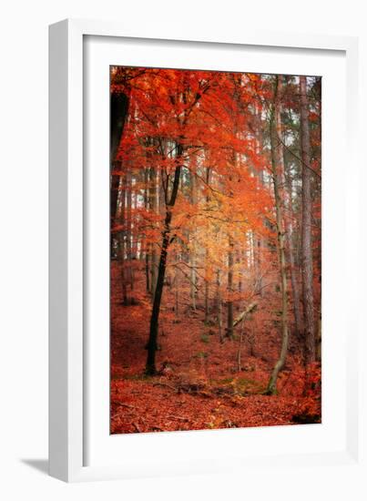 I Dream-Philippe Sainte-Laudy-Framed Photographic Print