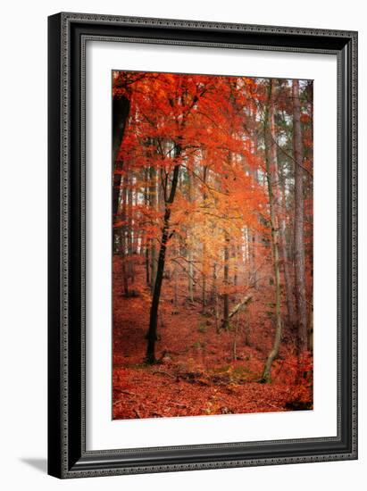 I Dream-Philippe Sainte-Laudy-Framed Photographic Print