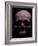 I Feel Like Death Today-Nathan Wright-Framed Photographic Print