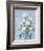 I Fiori I-Todd Telander-Framed Art Print