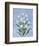 I Fiori II-Todd Telander-Framed Art Print