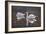 I Got You Babe-Bruce Dumas-Framed Giclee Print