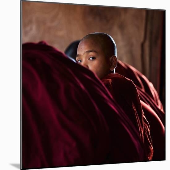 I got you-null-Mounted Photographic Print