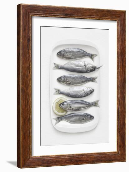 I H T I S-Dimitar Lazarov-Framed Giclee Print