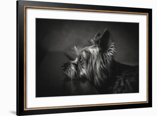I Have Been Waiting For You-Krisztina Lacz-Framed Giclee Print