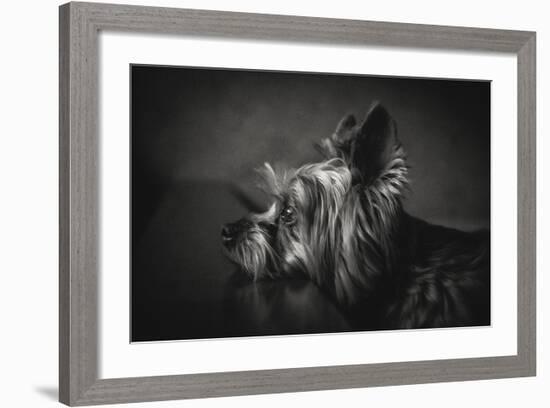 I Have Been Waiting For You-Krisztina Lacz-Framed Giclee Print