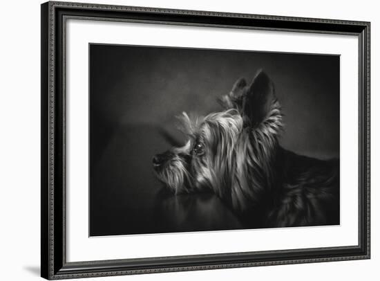 I Have Been Waiting For You-Krisztina Lacz-Framed Giclee Print