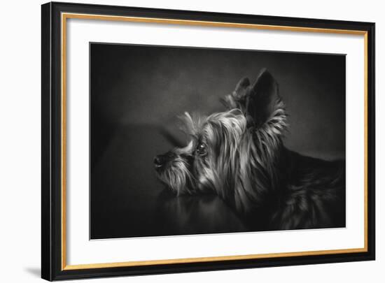 I Have Been Waiting For You-Krisztina Lacz-Framed Giclee Print