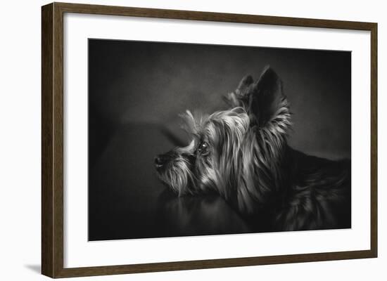 I Have Been Waiting For You-Krisztina Lacz-Framed Giclee Print