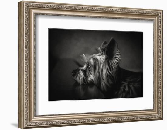 I Have Been Waiting for You ...-Krisztina Lacz-Framed Photographic Print