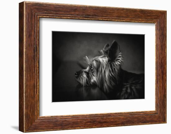 I Have Been Waiting for You ...-Krisztina Lacz-Framed Photographic Print