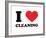 I Heart Cleaning-null-Framed Giclee Print