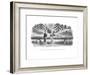 "I hope it doesn't make you nervous to have me watch you." - New Yorker Cartoon-Richard Taylor-Framed Premium Giclee Print