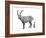 I is for Ibex-Stacy Hsu-Framed Art Print