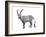 I is for Ibex-Stacy Hsu-Framed Art Print