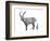 I is for Ibex-Stacy Hsu-Framed Premium Giclee Print