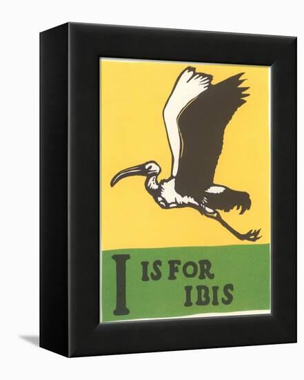 I is for Ibis-null-Framed Stretched Canvas