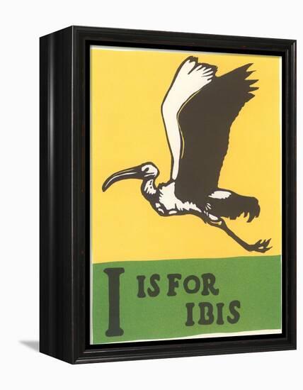 I is for Ibis-null-Framed Stretched Canvas