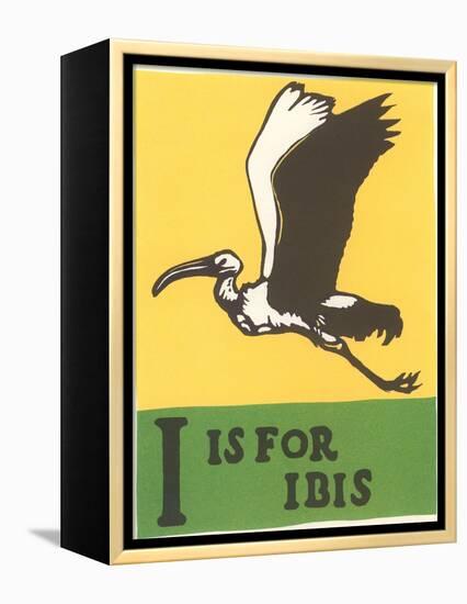 I is for Ibis-null-Framed Stretched Canvas