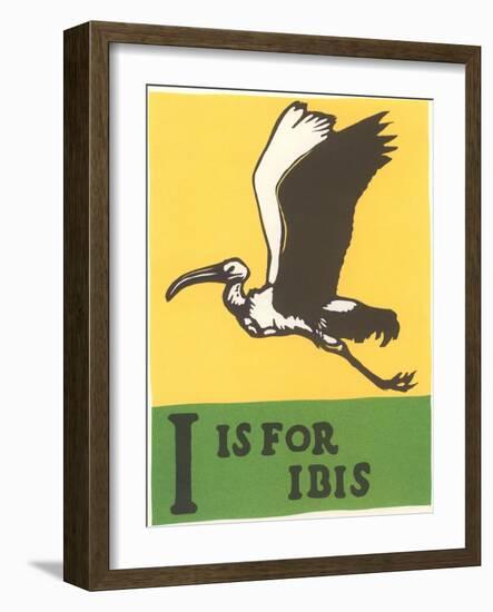 I is for Ibis-null-Framed Art Print