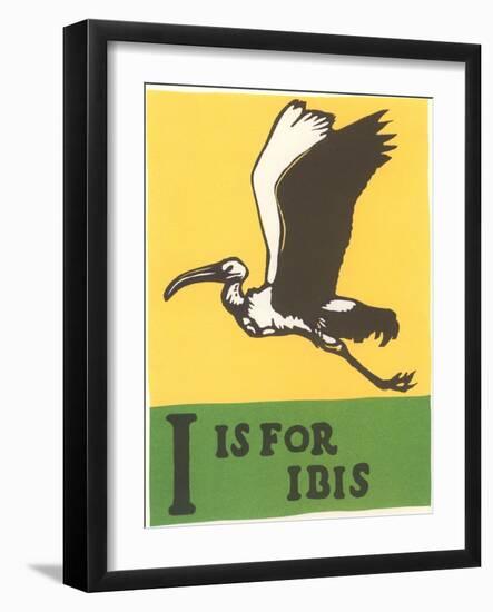 I is for Ibis-null-Framed Art Print